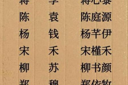 应姓女孩名字大全-应姓女孩起名字大全-应姓名字大全姓名