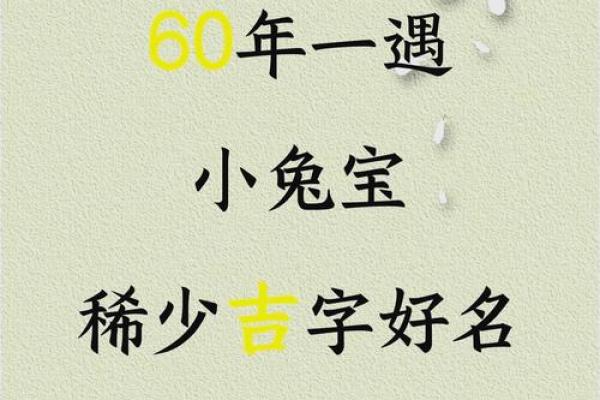 给属兔巳时出生的男孩起名宜用什么字姓名