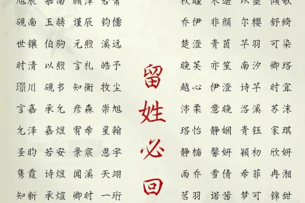 怎样来给属猪酉时出生的男孩起名姓名