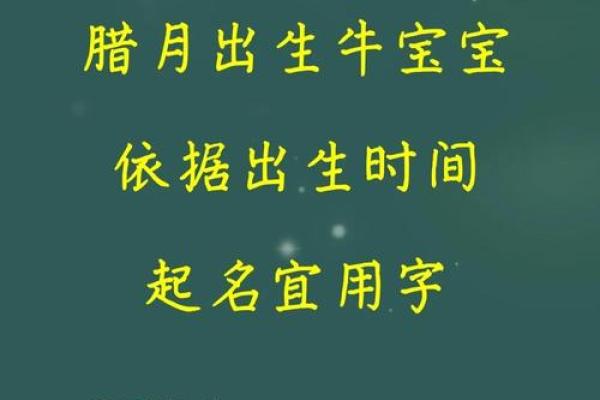 为晚上10点出生的属牛男孩取名字宜用什么字姓名