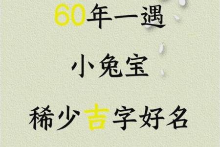 给属兔巳时出生的男孩起名宜用什么字姓名