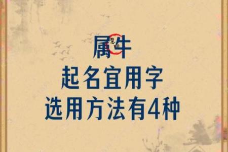 为晚上10点出生的属牛男孩取名字宜用什么字姓名