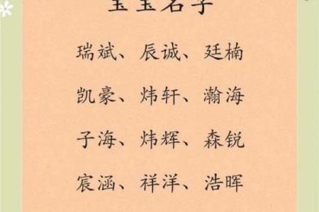 2019年6月19号子时出生的男孩如何起名姓名