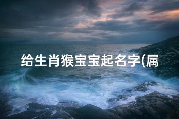 早上十一点出生的属猴男孩怎样取名，宜用什么字姓名