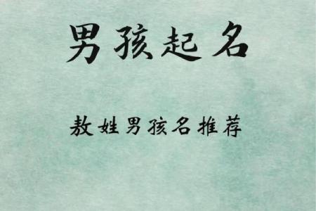 2019年6月10号子时出生的男孩应该起什么样的名字姓名