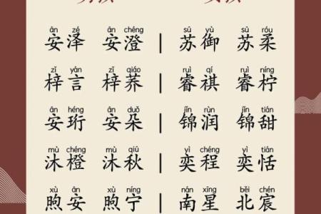 属鸡申时出生的男孩该如何起名，宜用什么字姓名