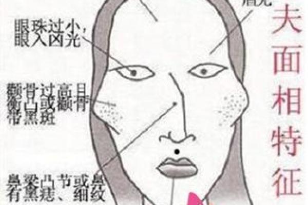 姓韶的名人-姓名学-华易算命网姓名
