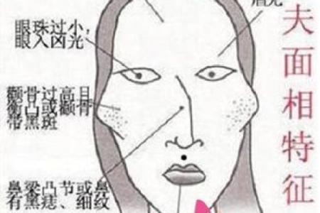 姓韶的名人-姓名学-华易算命网姓名