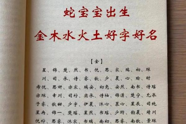 晚上11点出生的属蛇男孩如何起名，宜用哪些字姓名