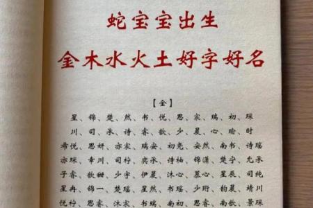 晚上11点出生的属蛇男孩如何起名，宜用哪些字姓名