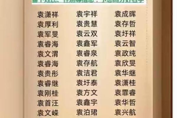 袁姓男孩名字大全-袁姓男孩起名字大全-袁姓名字大全姓名 袁姓男孩名字大全-袁姓男孩起名字大全-袁姓名字大全姓名