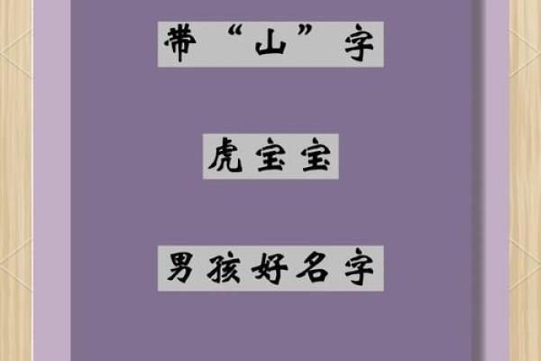 傍晚出生的属虎男孩如何起名，宜用什么字姓名