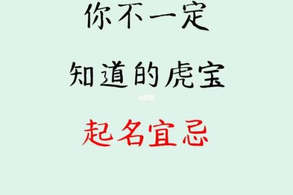 傍晚出生的属虎男孩如何起名，宜用什么字姓名