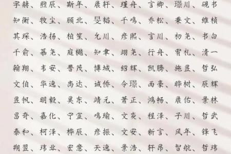 2019年6月28号丑时出生的男孩应该起什么样的名字姓名