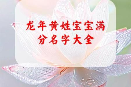 黄姓女孩名字大全-黄姓女孩起名字大全-黄姓名字大全姓名