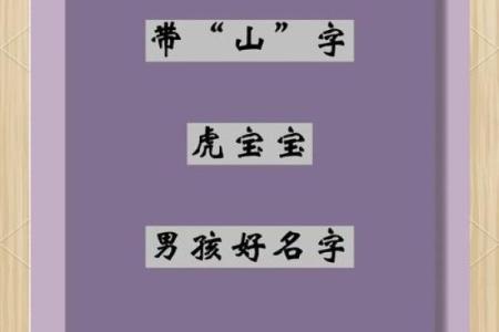 傍晚出生的属虎男孩如何起名，宜用什么字姓名