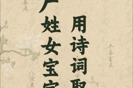 卢姓男孩名字大全-卢姓男孩起名字大全-卢姓名字大全姓名