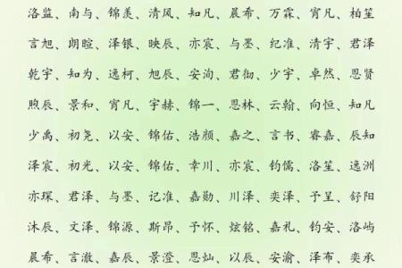 如何给属猪申时出生的男孩取个好名字姓名