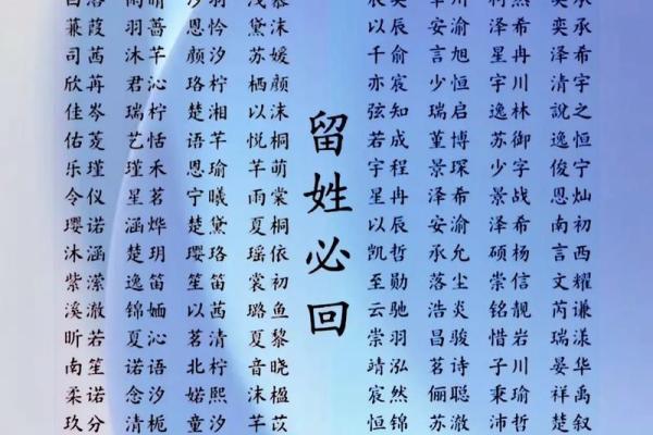 什么字给晚上12点出生的属猴男孩起名合适姓名