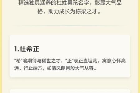 杜姓男孩名字大全-杜姓男孩起名字大全-杜姓名字大全姓名