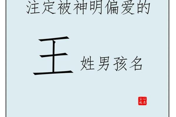 王姓男孩名字大全-王姓男孩起名字大全-王姓名字大全姓名