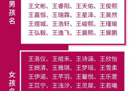 王姓男孩名字大全-王姓男孩起名字大全-王姓名字大全姓名