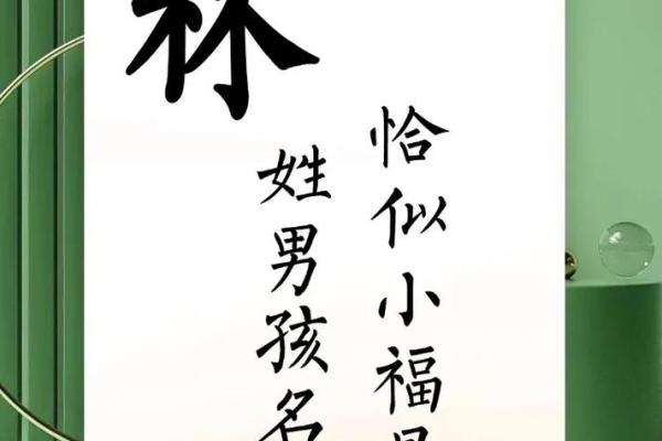 林姓男孩名字大全-林姓男孩起名字大全-林姓名字大全姓名 林姓男孩名字大全-林姓男孩起名字大全-林姓名字大全姓名