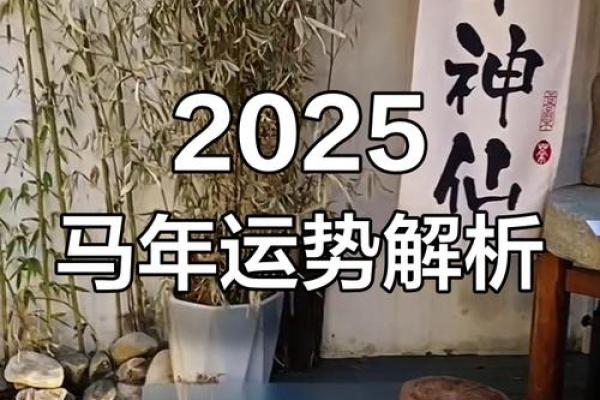2025属马每月运势_生肖马运势2025年运程详解