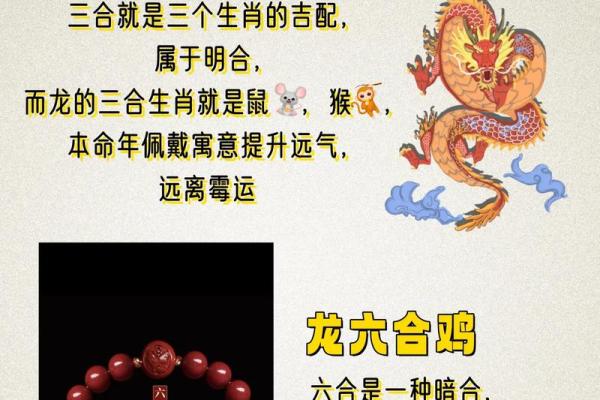 1988年属龙今年多大 1988年属龙今年多大2024