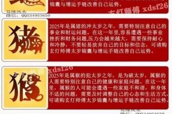 2025年属马犯太岁吗_龙年犯太岁的五个属相