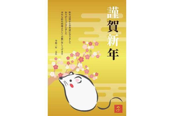 2000年1月14日属龙还是属兔 2000年元月14日生肖归属解密属龙还是属兔