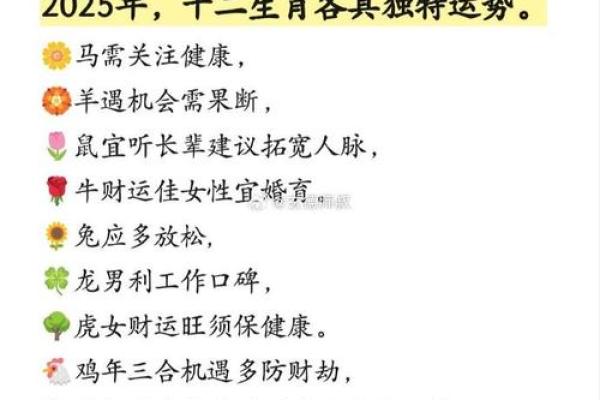 1978年属马女2025运势怎样 2025年1978年属马女性运势全解析财运健康感情预测 1978年属马女2025运势怎样 2025年1978年属马女性运势全解析财运健康感情预测