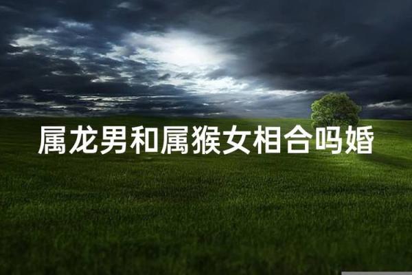 属龙跟属猴的姻缘怎么样_七月龙猴姻缘解析属相婚配是否相合