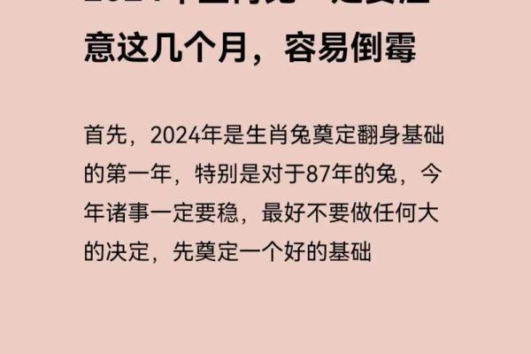 2025年属兔人运势详解整体运程大揭秘