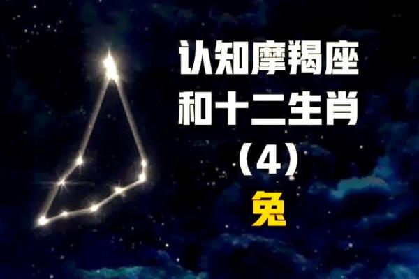 1999年属兔城墙土命的男生 1999年属兔城墙土命男生运势解析与性格特点