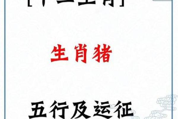 2025年属猪人年龄解析你几岁了 2025年属猪人年龄解析你几岁了