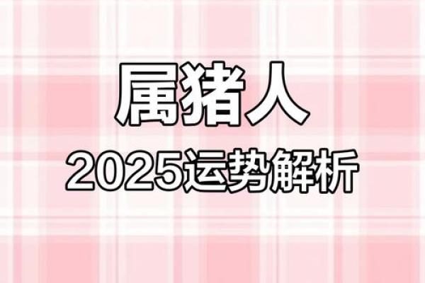 95年属猪女2025年运势 95年属猪女2025年运势详解事业财运爱情全解析 95年属猪女2025年运势 95年属猪女2025年运势详解事业财运爱情全解析
