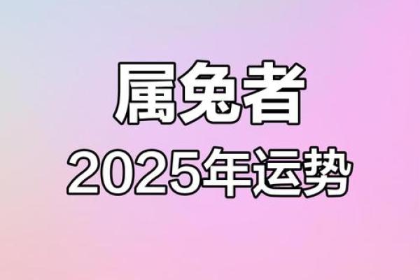 1963属兔2025年每月运势详解全年运程大揭秘