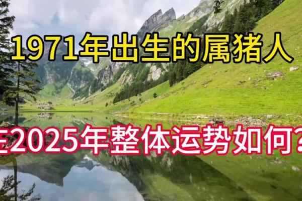 属猪2025年运势及运程1983年出生_1983年属猪人2025年运势详解财运事业感情全解析