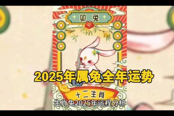 2025年属兔运势详解全年运程大揭秘