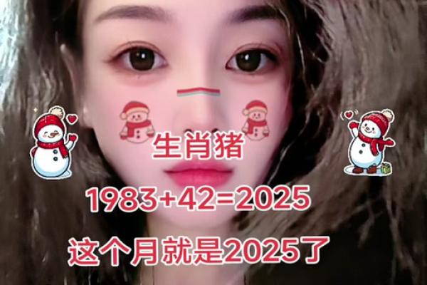 属猪的今年多大了2025年出生 属猪的人今年有多大