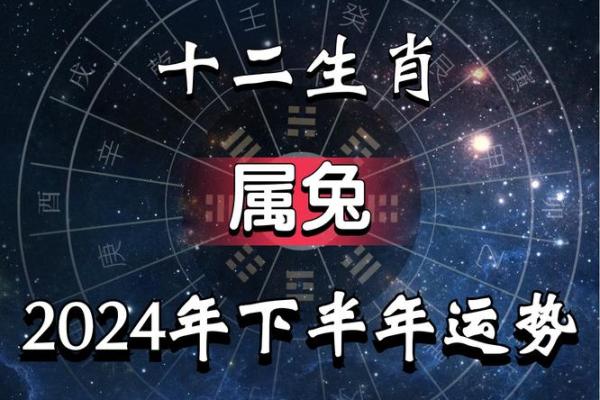 属兔的2025年多少岁 87年属兔的2025年多少岁 属兔的2025年多少岁 87年属兔的2025年多少岁