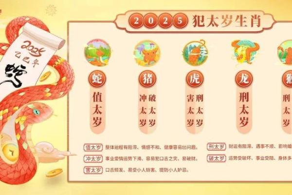 2025年生肖猪冲太岁 属猪的哪些年份犯太岁 2025年生肖猪冲太岁 属猪的哪些年份犯太岁