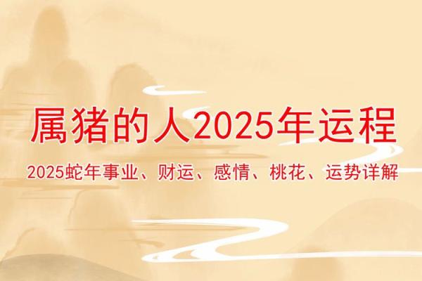 2025属猪的要躲着谁 2025年属猪人需警惕的三大生肖避开这些人运势更旺