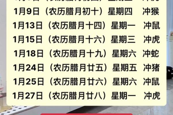 属猪的今年多大了2025年_属猪的今年多大了2025年出生