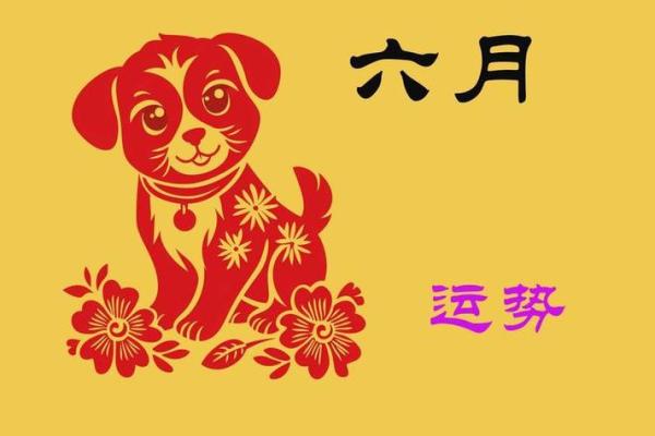 1982年属狗女2025年每月运势及运程详解 1994年狗女2025年运势及运程