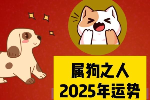2025年属狗人幸运色揭秘提升运势的最佳选择