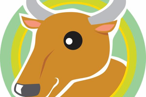 1994年属狗几月命苦_1994年属狗几月命苦揭秘命运转折的关键月份 1994年属狗几月命苦_1994年属狗几月命苦揭秘命运转折的关键月份