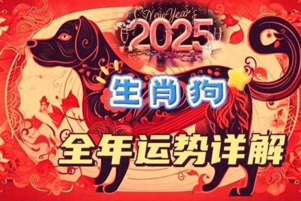 2025年属狗运势详解事业财运爱情全解析