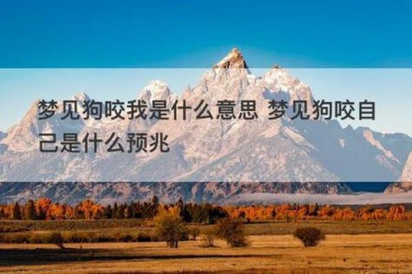 梦见狗的七大预兆 梦见狗的七大预兆